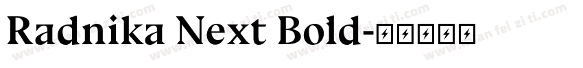Radnika Next Bold字体转换